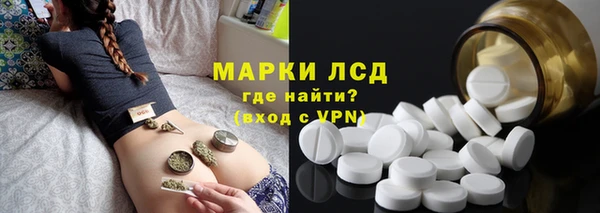 тгк Нея