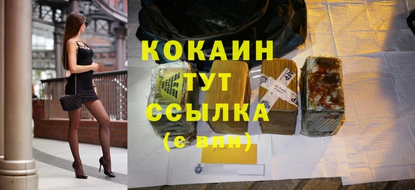 тгк Нея