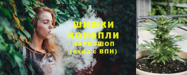 тгк Нея