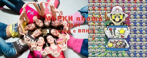 тгк Нея