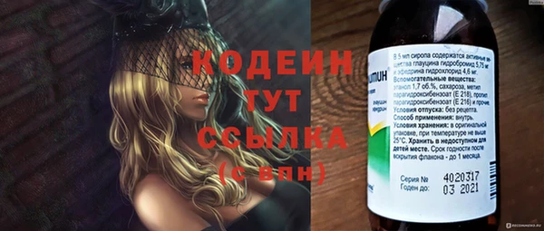 тгк Нея