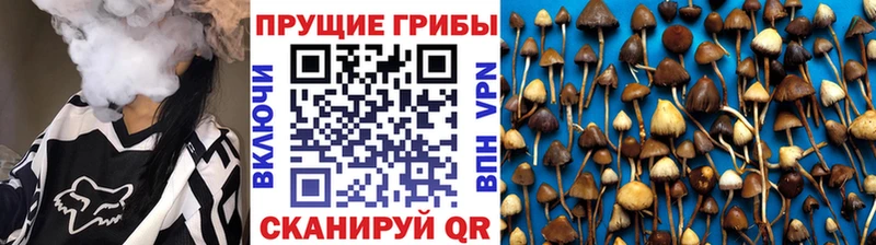 Галлюциногенные грибы мухоморы  KRAKEN ссылки  Краснозаводск 