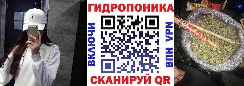 продажа наркотиков  Краснозаводск  Бошки Шишки White Widow 